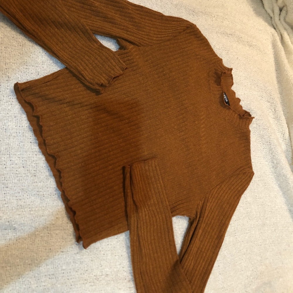Burnt orange ribbed long sleeve crop top